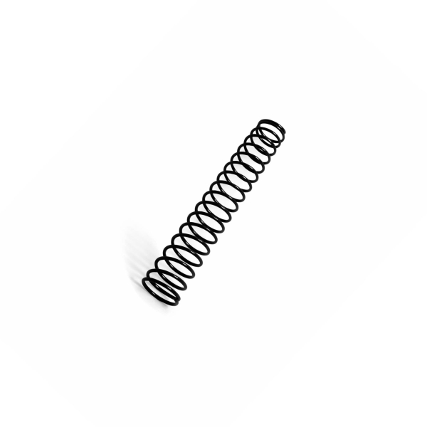 102020011 Пружина FT (Spring FT)